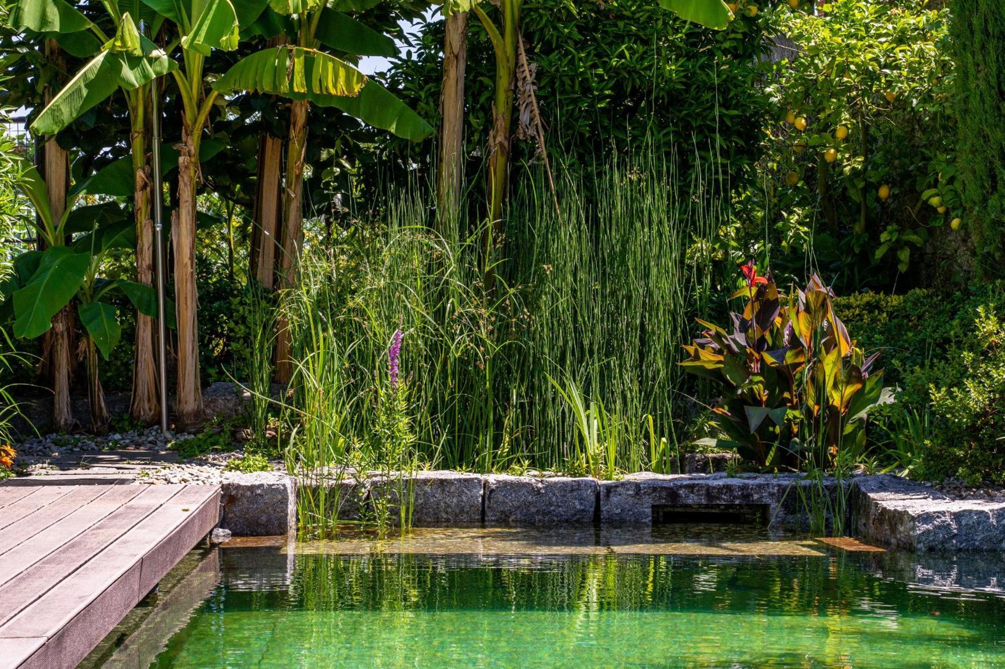 Gondomar Guimaraes - Moradia V3 Com Piscina Natural By House And People Exteriér fotografie