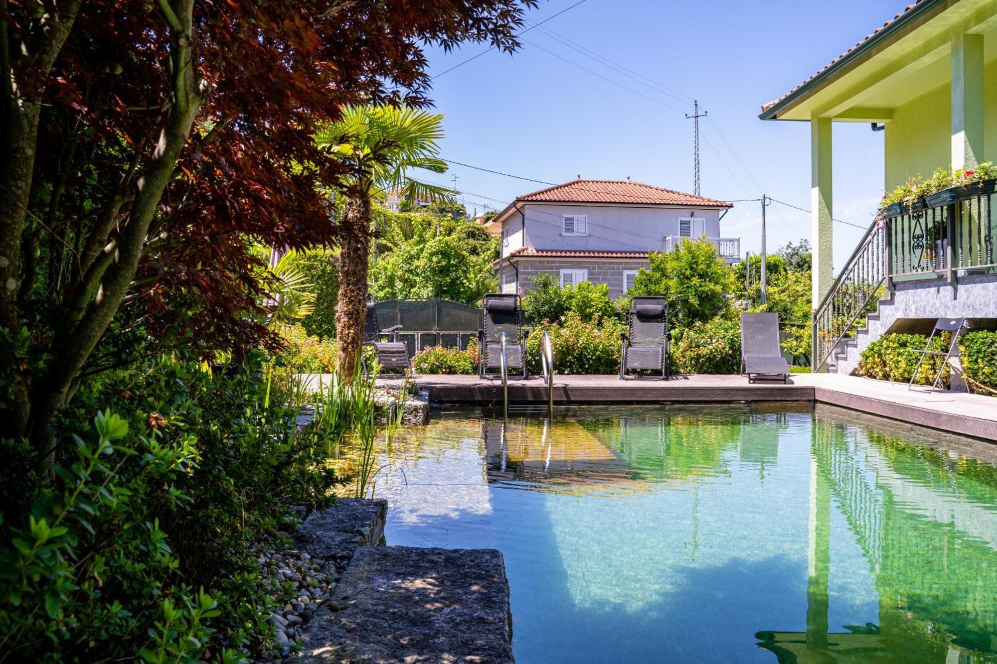 Gondomar Guimaraes - Moradia V3 Com Piscina Natural By House And People Exteriér fotografie